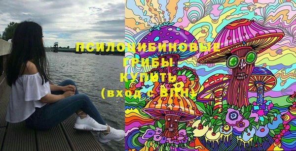 индика Горняк