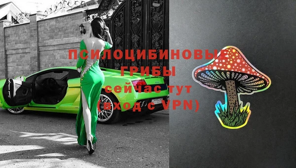 индика Горняк