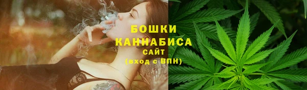 индика Горняк