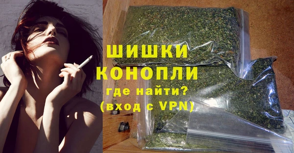 индика Горняк
