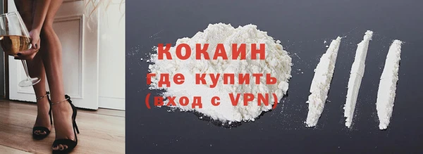 индика Горняк