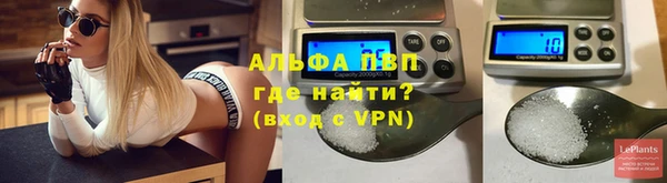 индика Горняк