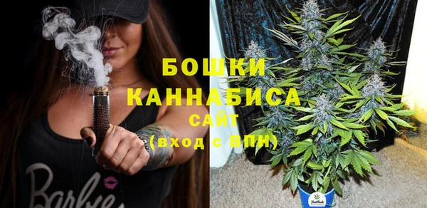 индика Горняк
