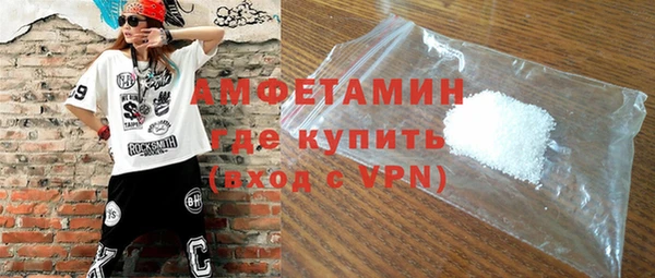 индика Горняк