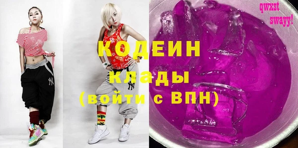 индика Горняк