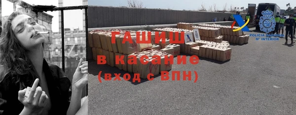индика Горняк