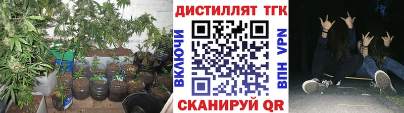 Дистиллят ТГК THC oil  Купить где  Котовск 
